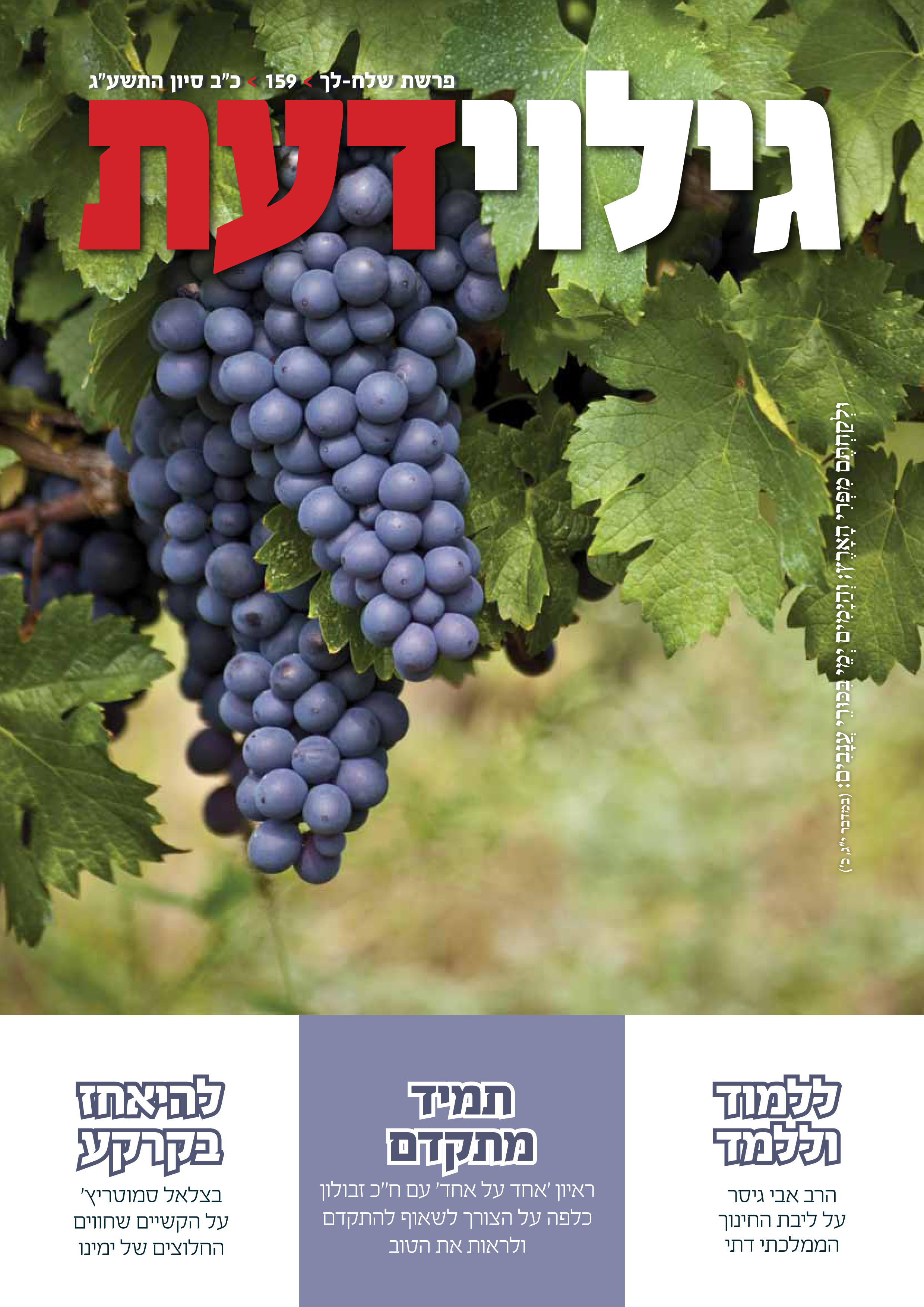 159_shlach_lecha-1