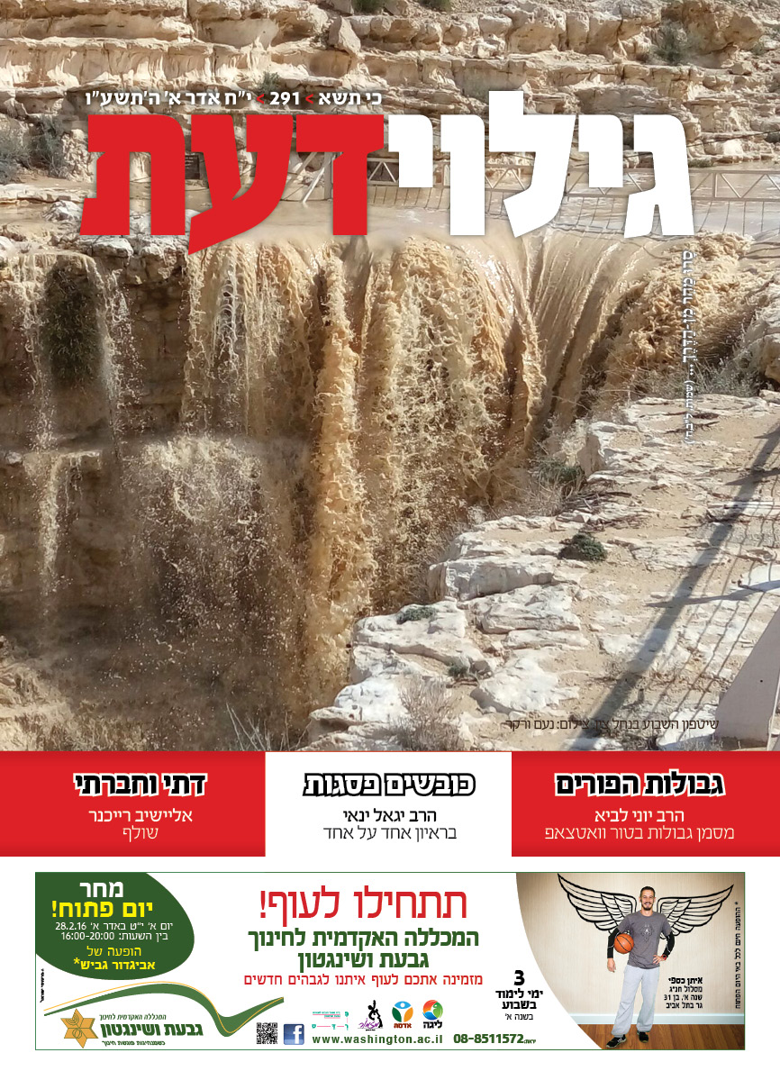 291_cover